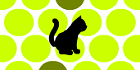Chat Noir