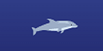 Dolphin Olympics