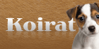 Koirat