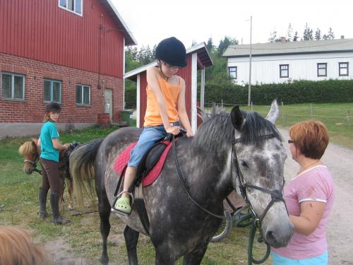 Horse-Love