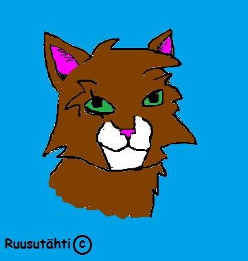 Ruusutähti00