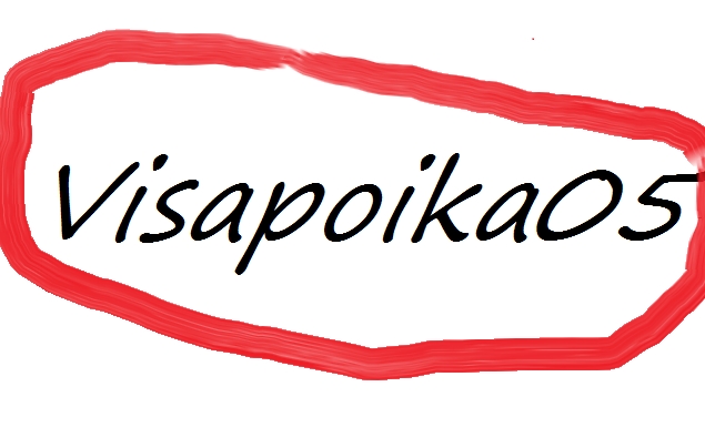 Visapoika05