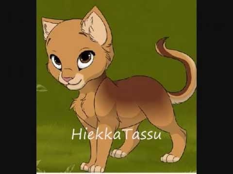 Hiekkatassu