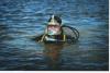 Divers