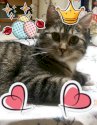 Rayan