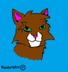 Ruusutähti00