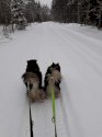 Sitka