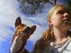basenji