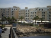 Oinas