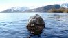 Loch Ness