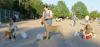 basenji