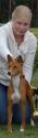 basenji