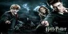 Harry Potter 10