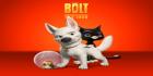 Bolt