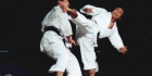Karate-d