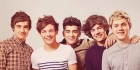 1D - visa
