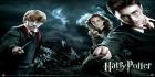 harry potter ZZZZZZZzzzzzz