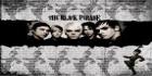 My chemical romance2
