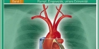 Elinanatomia