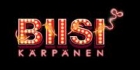 Biisikärpänen- Visa