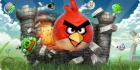 Angry birds visailu