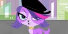 Littlest petshop Visa