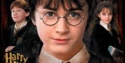 Harry Potter Fans