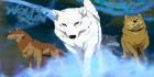 WR . Wolfs rain