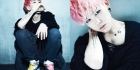 zelo