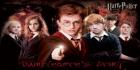 Harry Potter-kisa