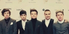 One Direction -visa