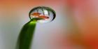 No moi
