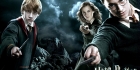 Pottapään Potter