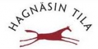 hagnäsintila
