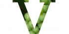 Verbien taivutus