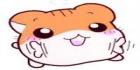hamsterrvisa