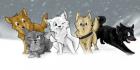 Wolf s Rain