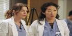 GREYS ANATOMY