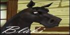 Star Stable 2