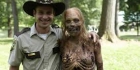 The Walking Dead -henkilövisa