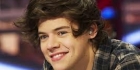 Harry Edward Styles-visa