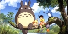 Studio Ghibli-visa