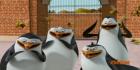 Penguins Of Madagascar