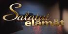 Salatut Elämät 2008-2009