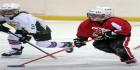 Ringettevisa