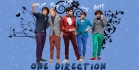 Directioner visa