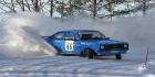RALLIVISA