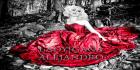 lady gaga lady gaga