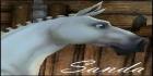 Star Stable 3