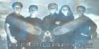 Animorphs -visa